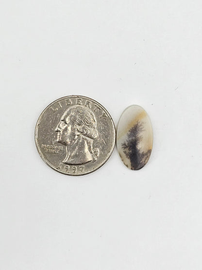 Dentrite agate cabochon large