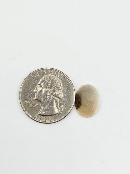 Dentrite agate cabochon large