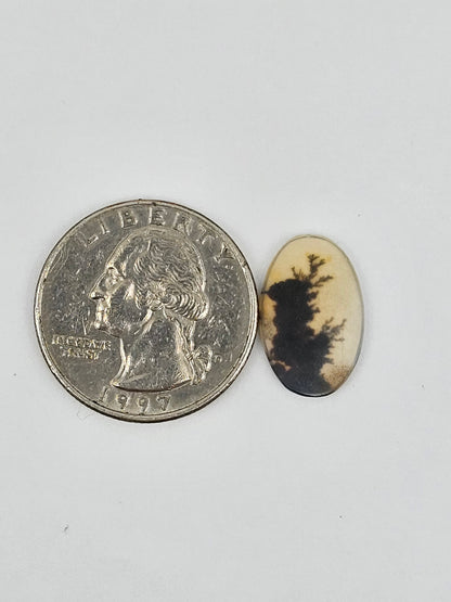 Dentrite agate cabochon large