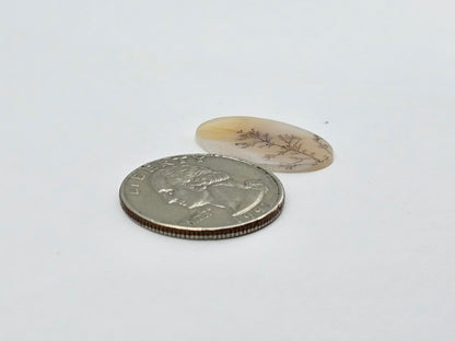 Dentrite agate cabochon large