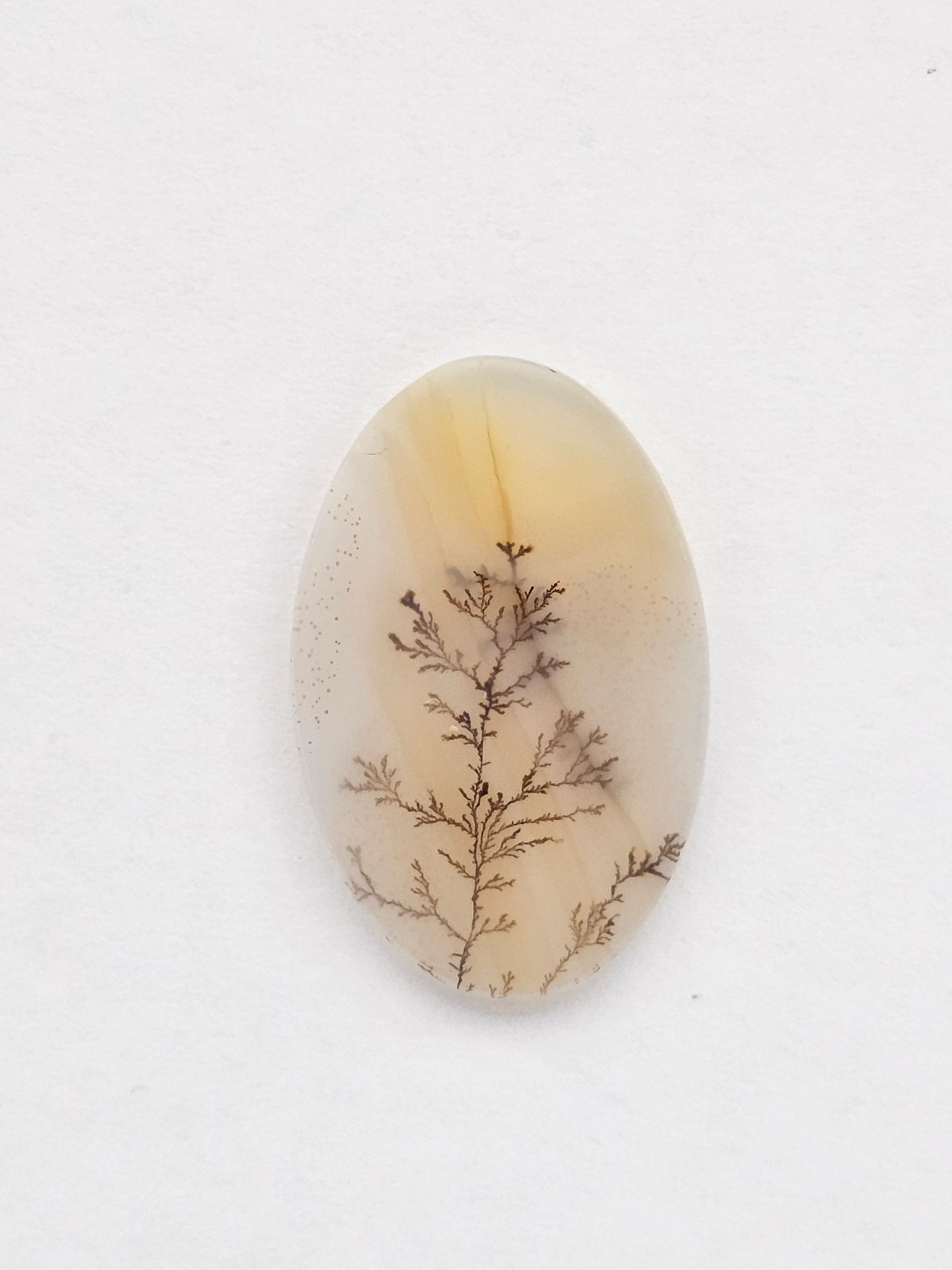 Dentrite agate cabochon large