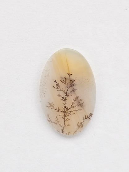 Dentrite agate cabochon large