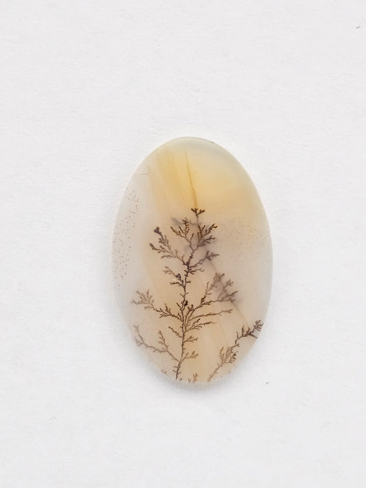 Dentrite agate cabochon large