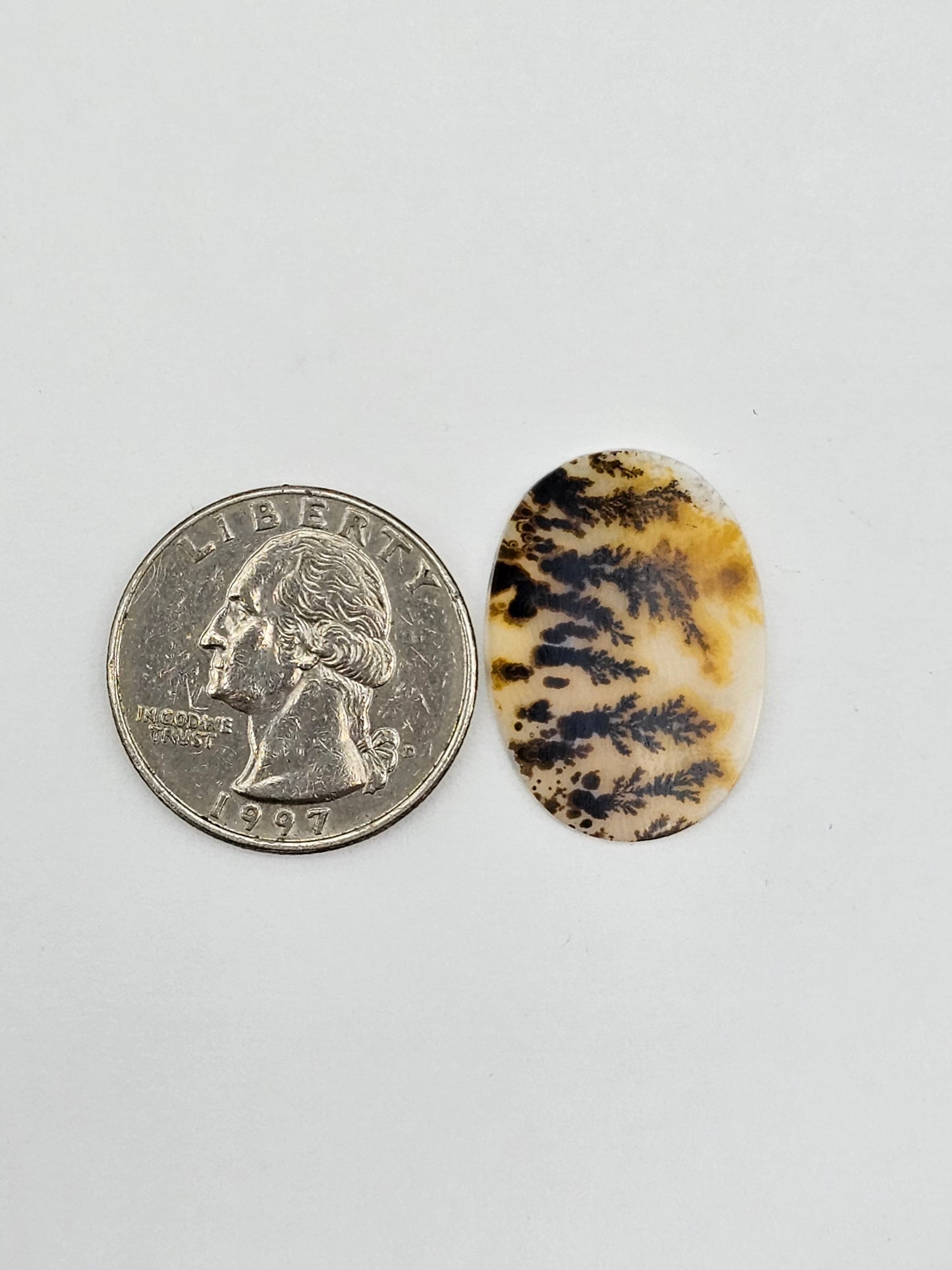 Dentrite agate cabochon large