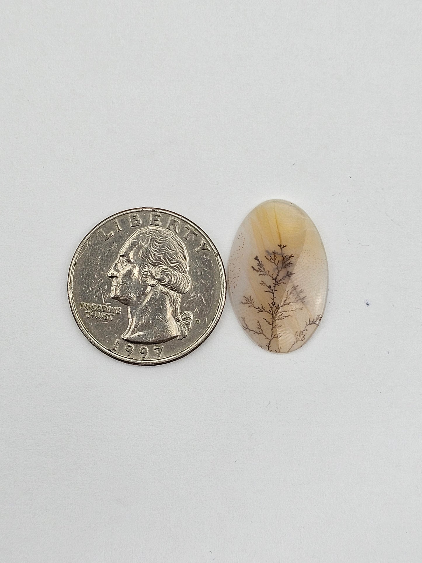 Dentrite agate cabochon large