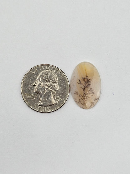 Dentrite agate cabochon large