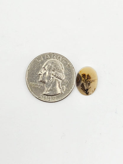 Dentrite agate cabochon large
