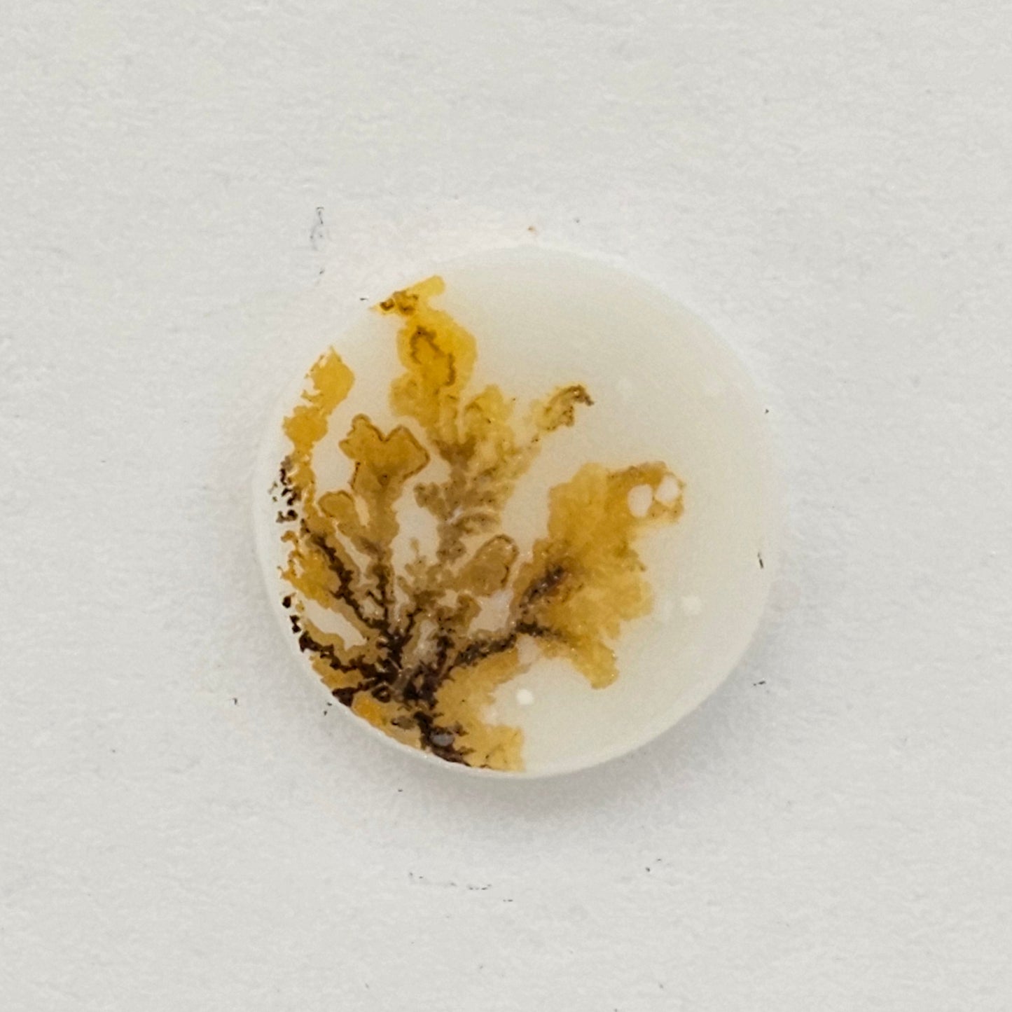 Dentrite agate cabochon large