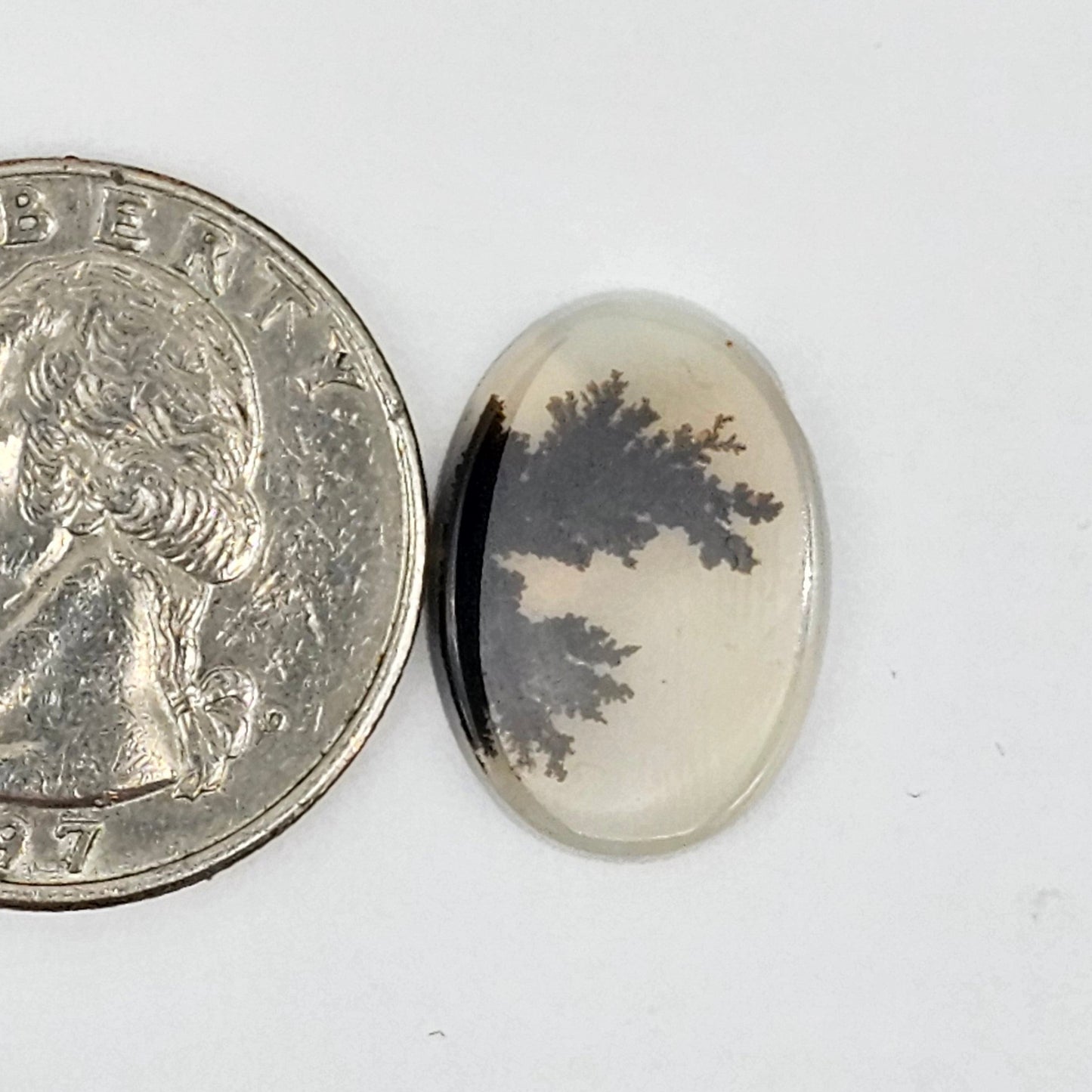 Dentrite agate cabochon large