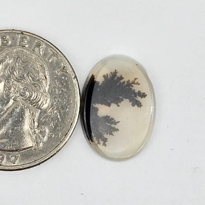 Dentrite agate cabochon large