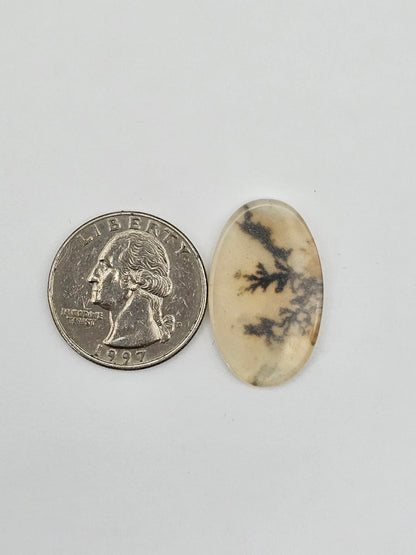 Dentrite agate cabochon large