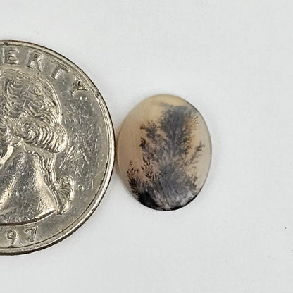 Dentrite agate cabochon large