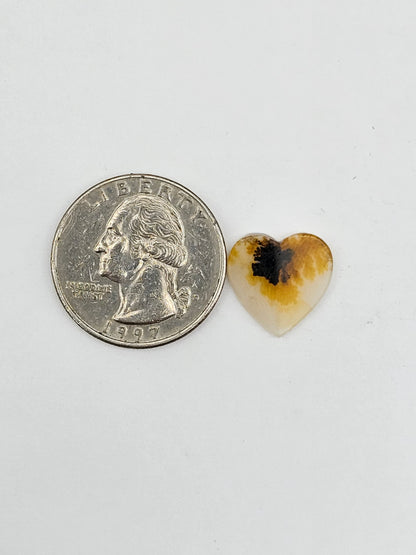 Dentrite agate cabochon large