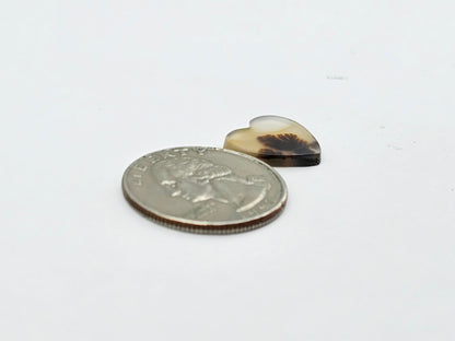 Dentrite agate cabochon large