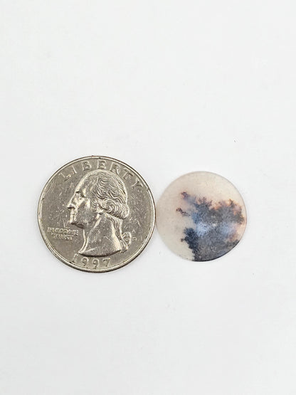Dentrite agate cabochon large