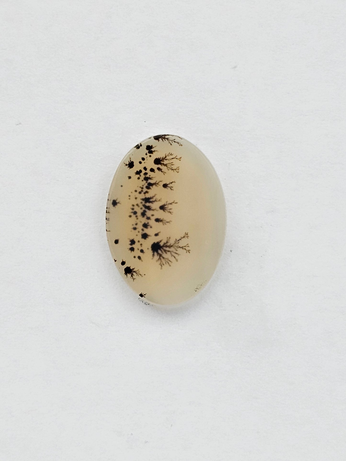 Dentrite agate cabochon large