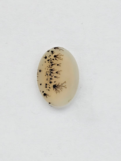 Dentrite agate cabochon large