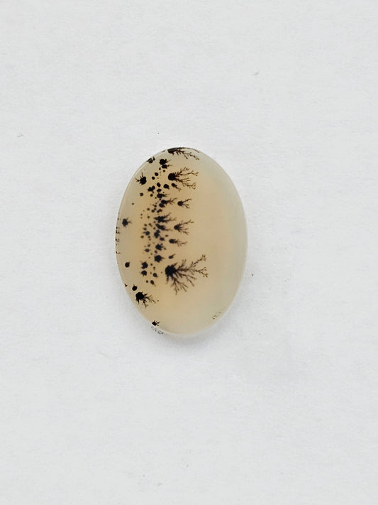 Dentrite agate cabochon large