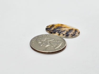 Dentrite agate cabochon large