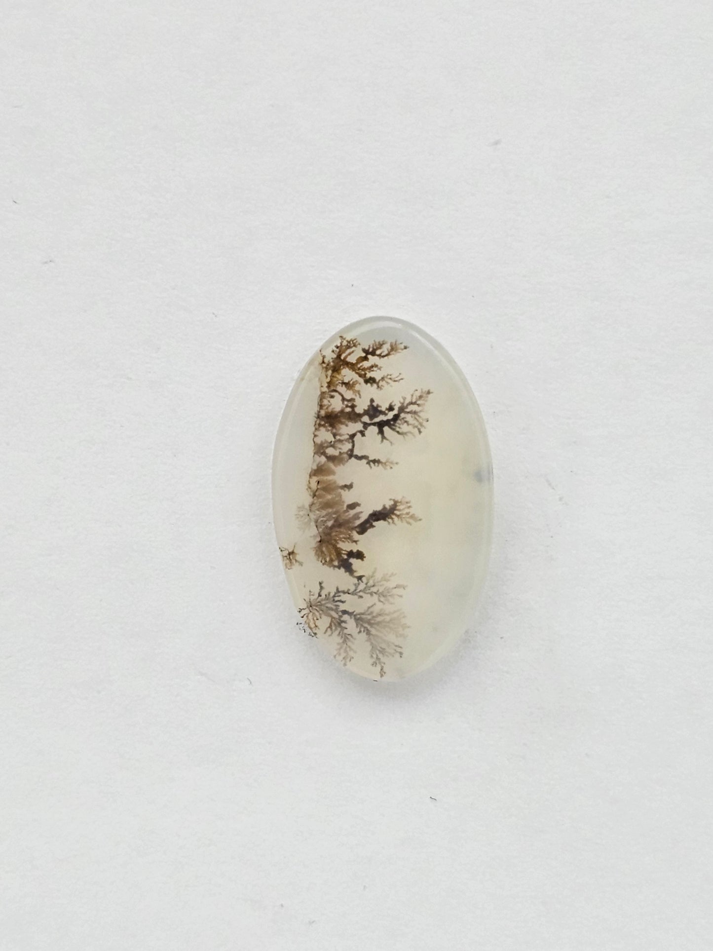 Dentrite agate cabochon large