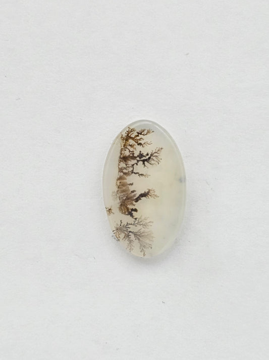 Dentrite agate cabochon large