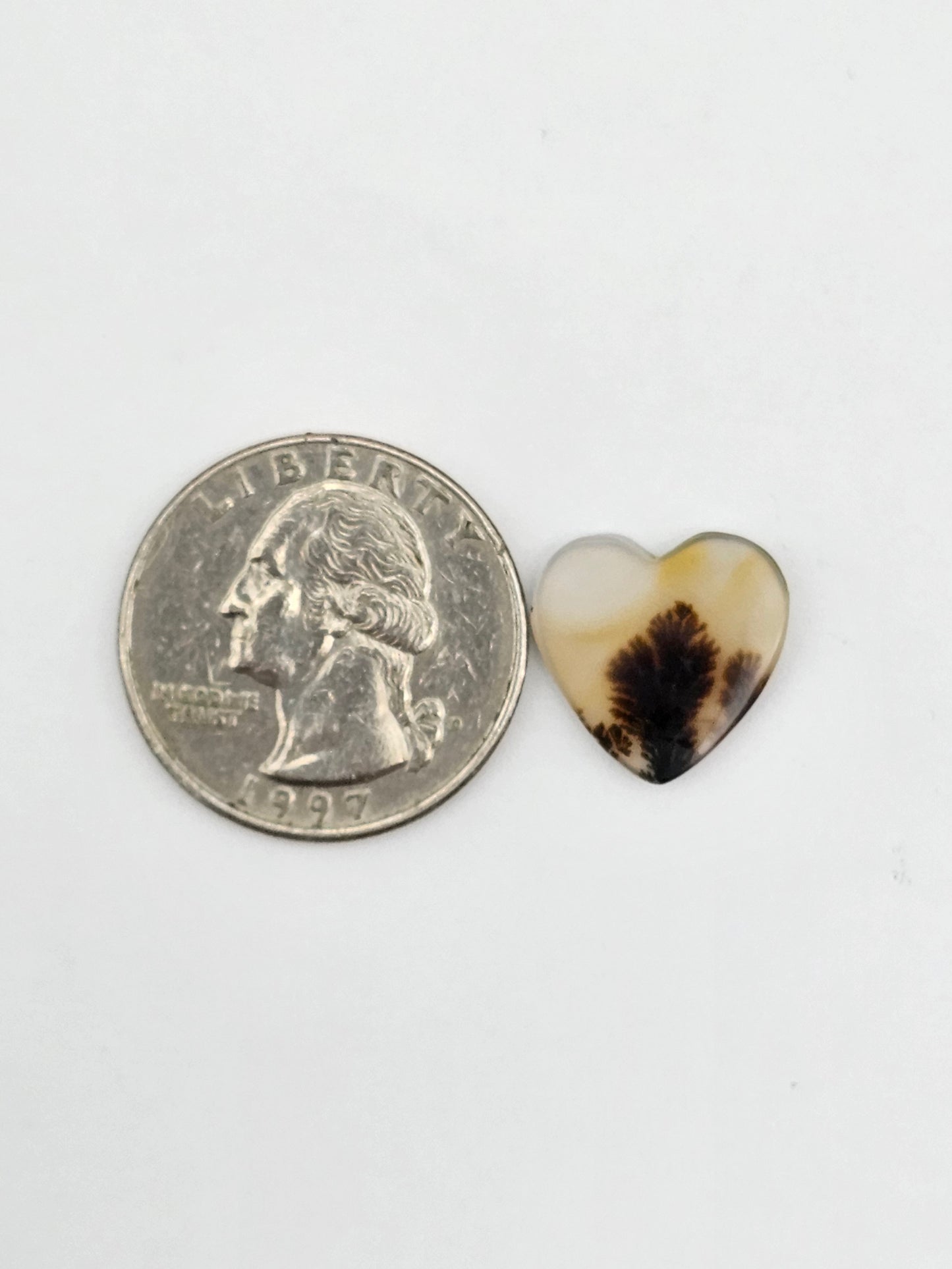 Dentrite agate cabochon large