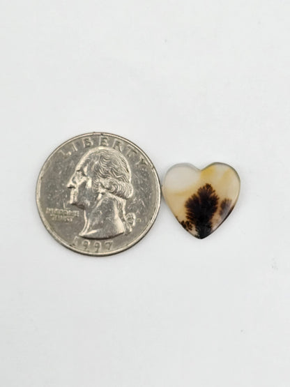 Dentrite agate cabochon large