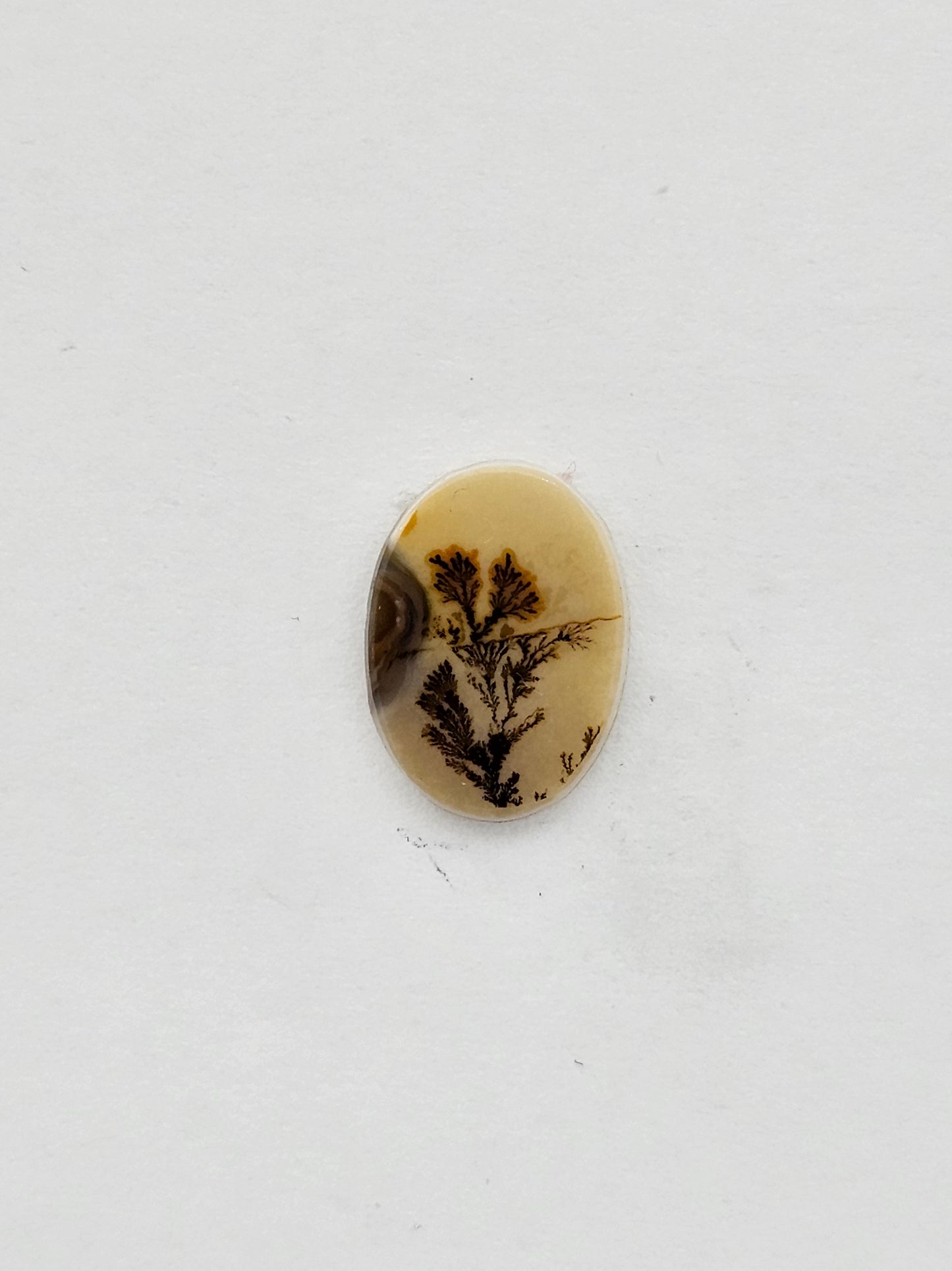 Dentrite agate cabochon large