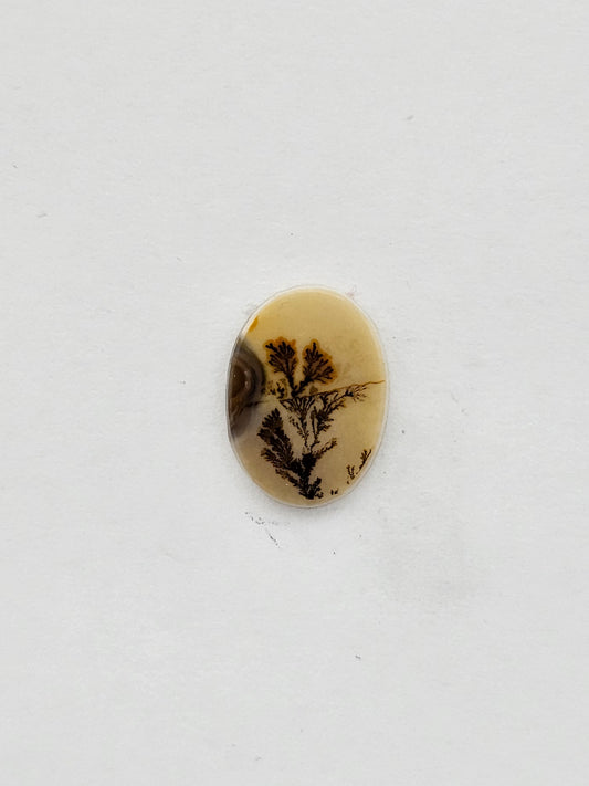 Dentrite agate cabochon large