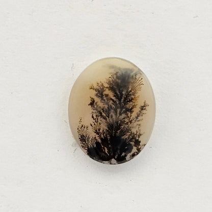 Dentrite agate cabochon large