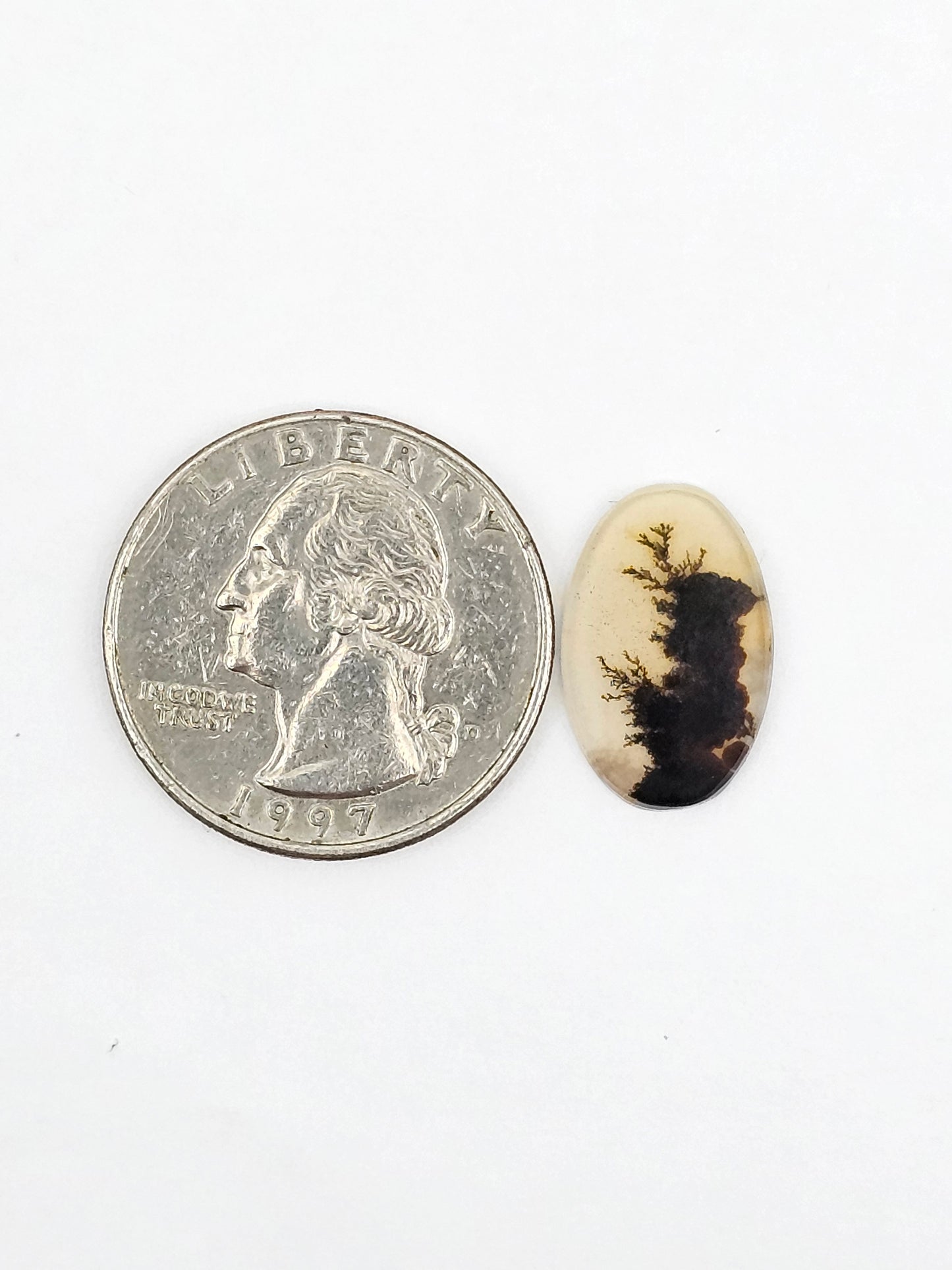 Dentrite agate cabochon large