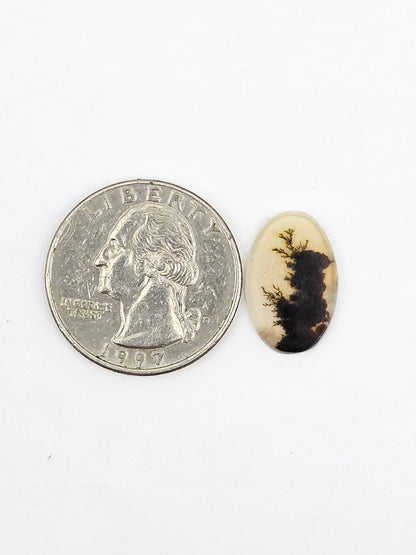 Dentrite agate cabochon large