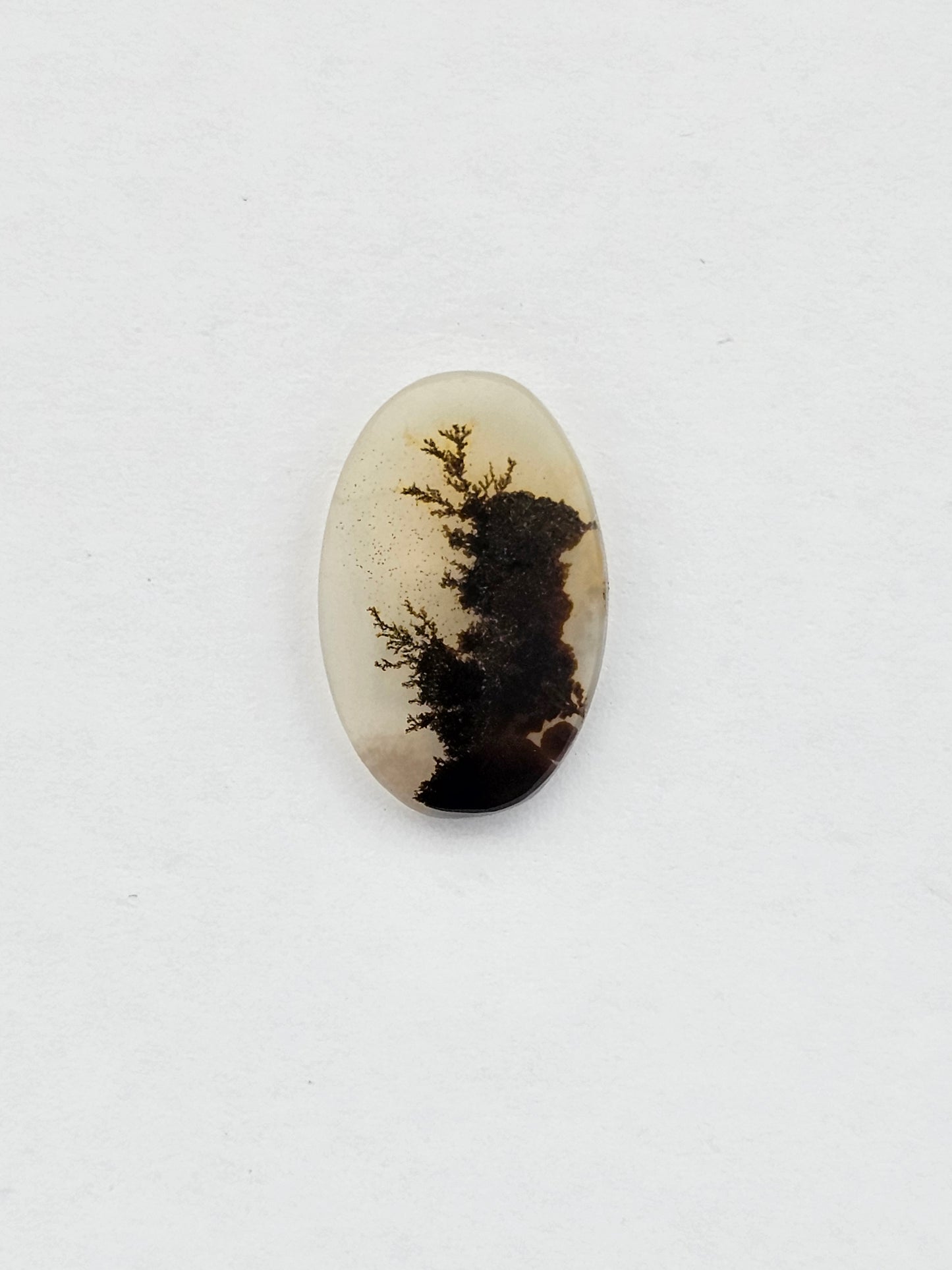 Dentrite agate cabochon large