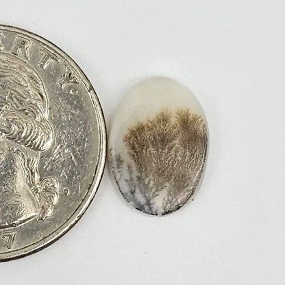 Dentrite agate cabochon large