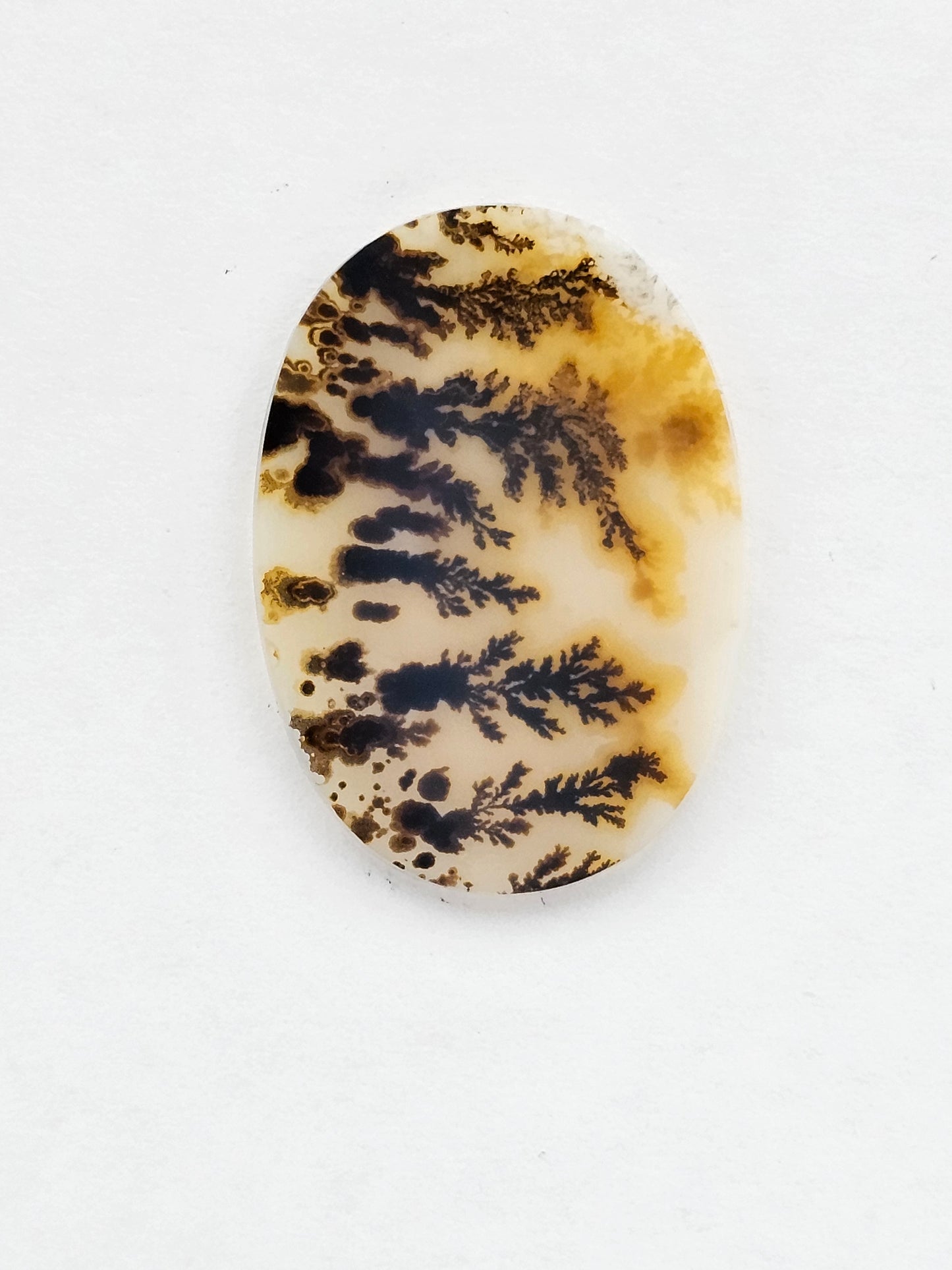 Dentrite agate cabochon large