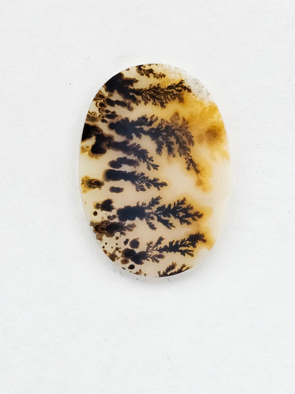 Dentrite agate cabochon large