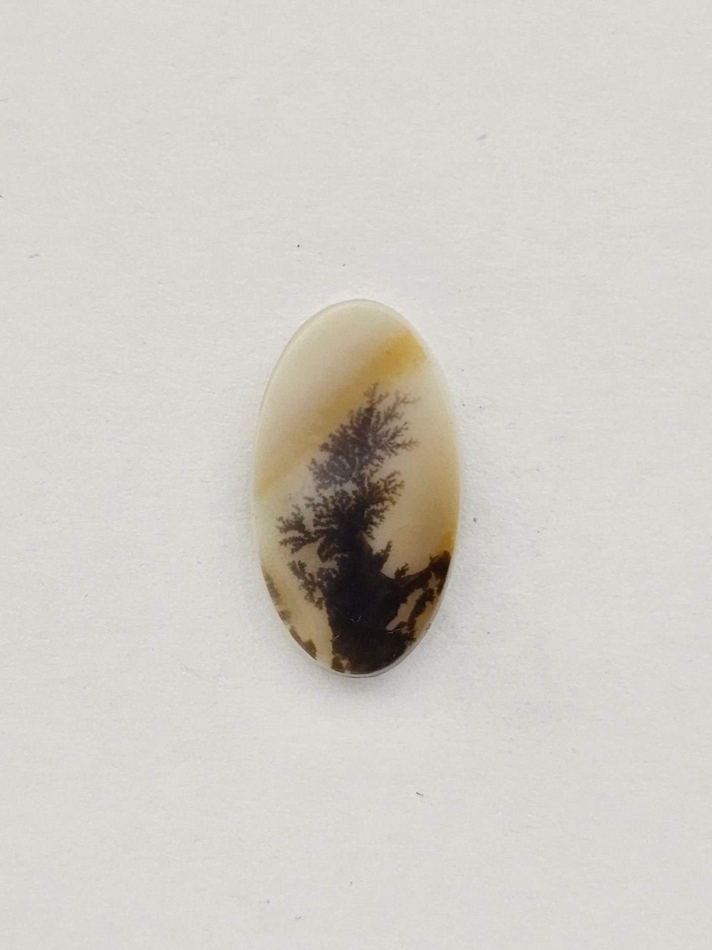 Dentrite agate cabochon large