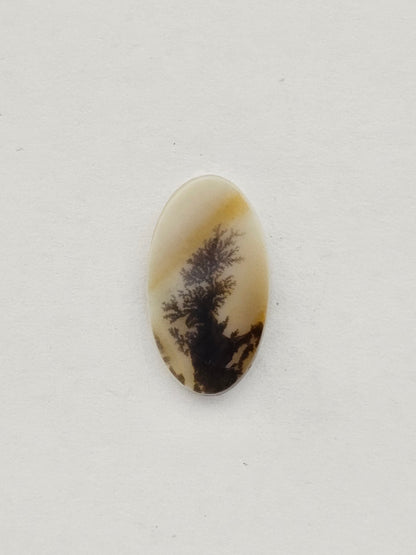 Dentrite agate cabochon large