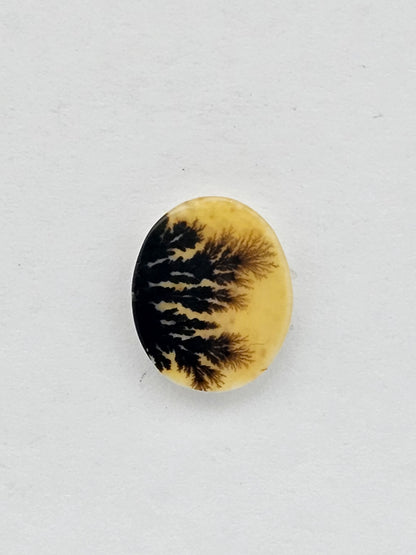 Dentrite agate cabochon large