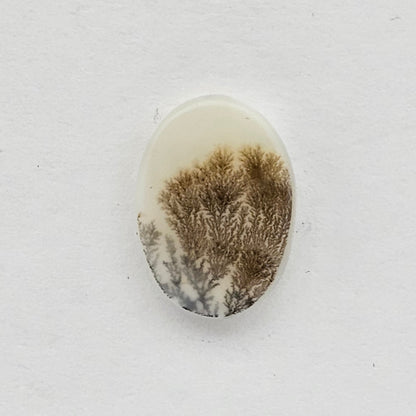 Dentrite agate cabochon large