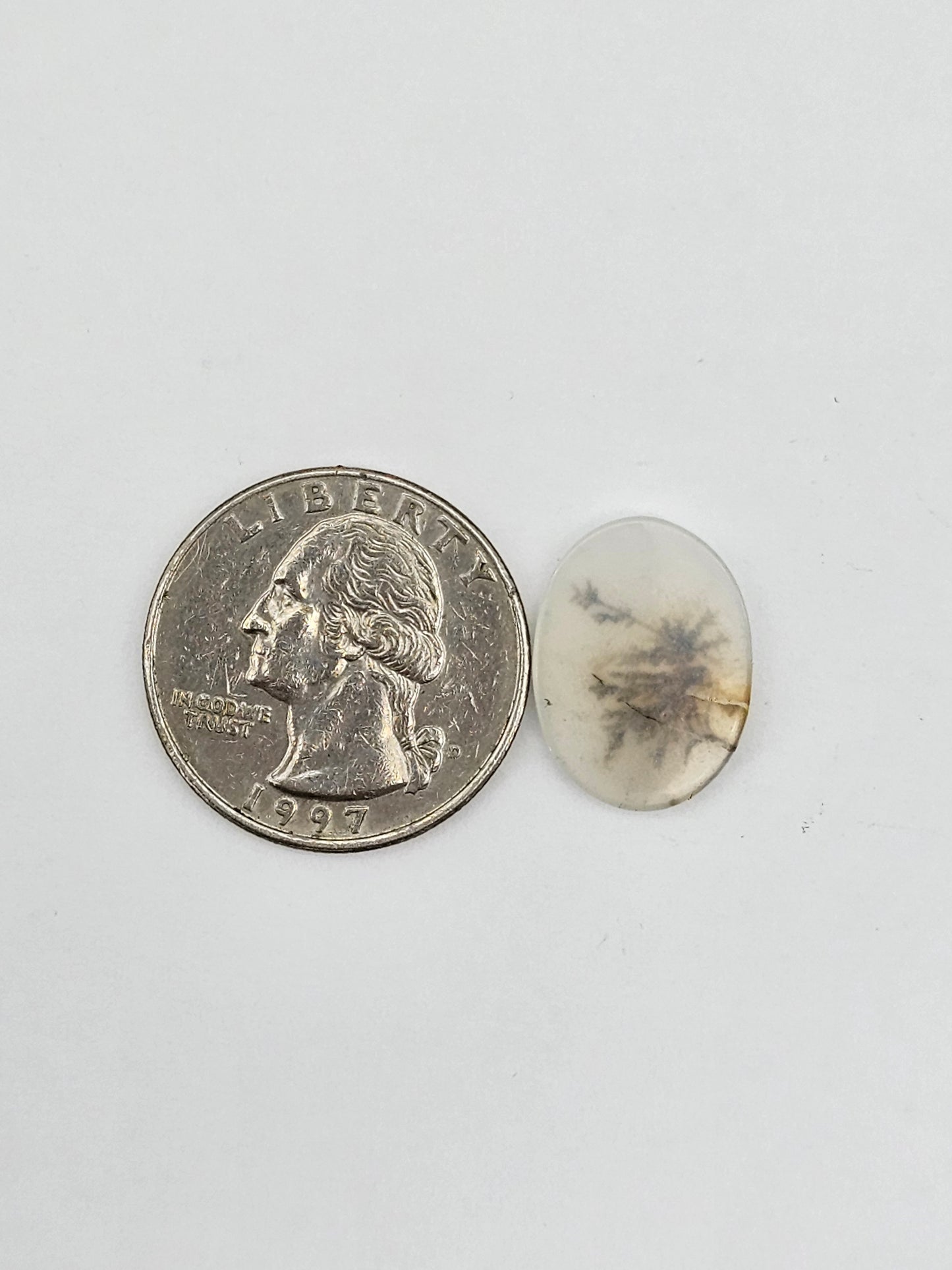 Dentrite agate cabochon large