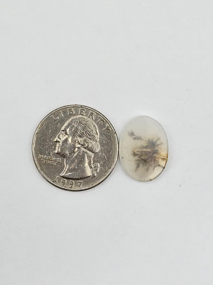 Dentrite agate cabochon large