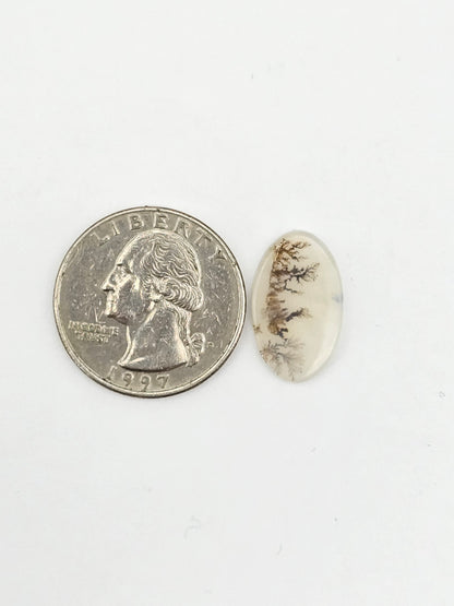 Dentrite agate cabochon large