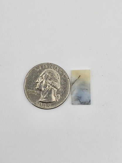 Dentrite agate cabochon large