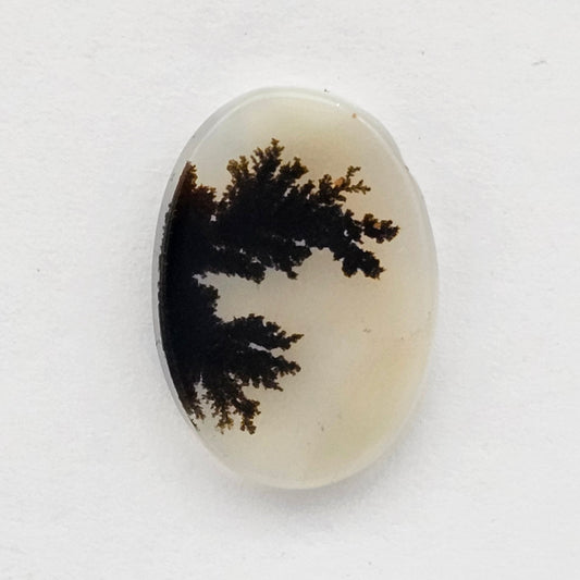 Dentrite agate cabochon large