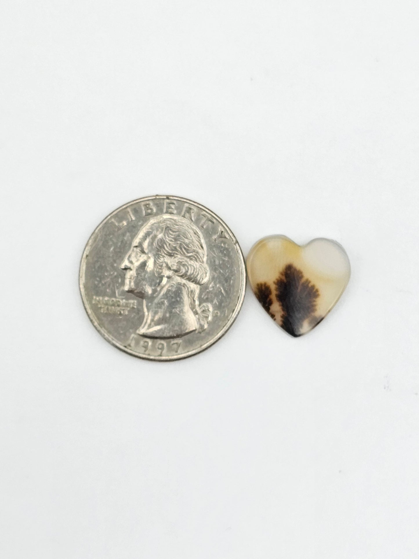 Dentrite agate cabochon large
