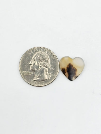 Dentrite agate cabochon large