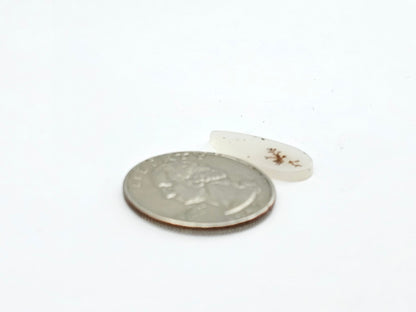 Dentrite agate cabochon large