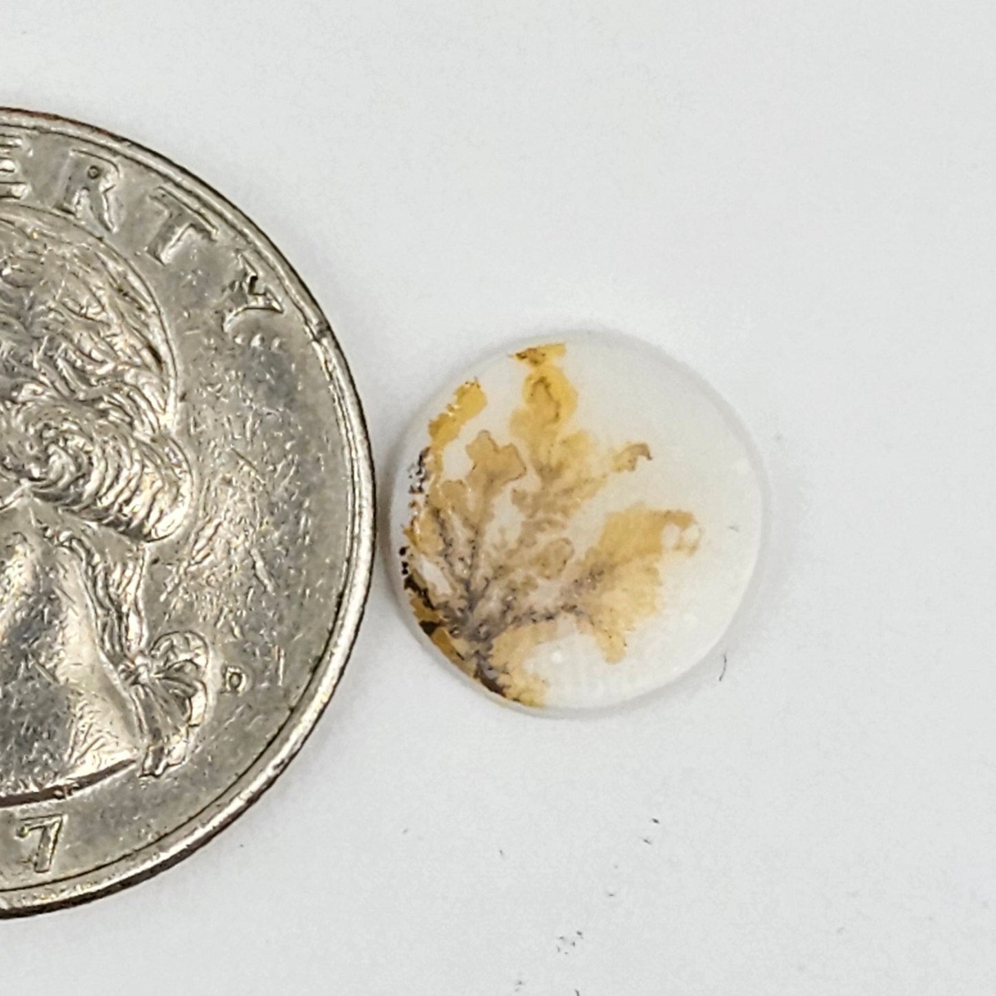 Dentrite agate cabochon large