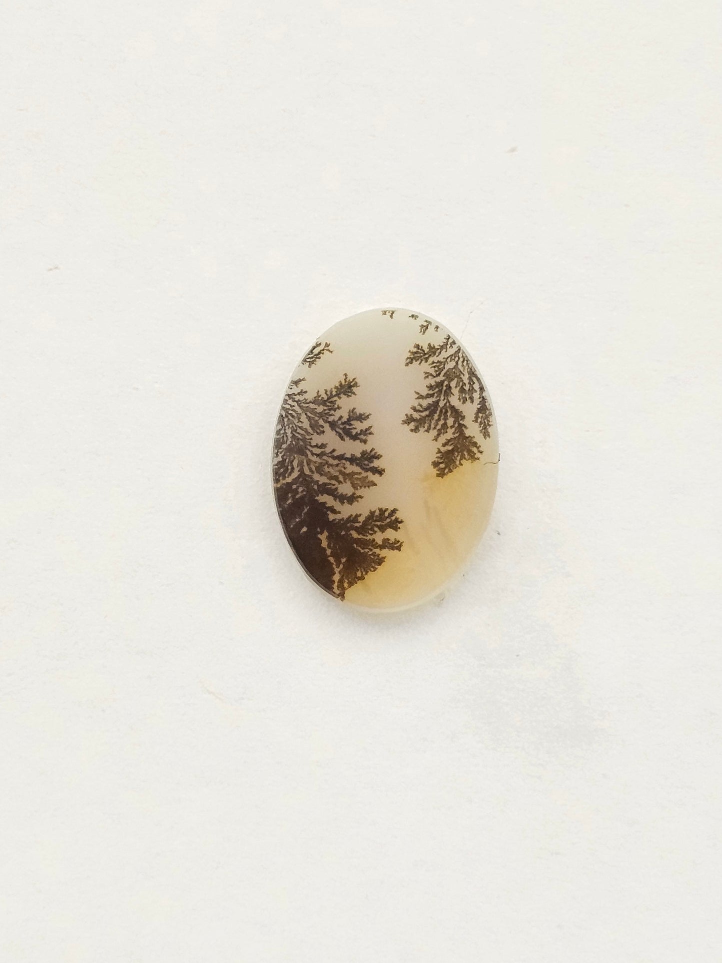 Dentrite agate cabochon large